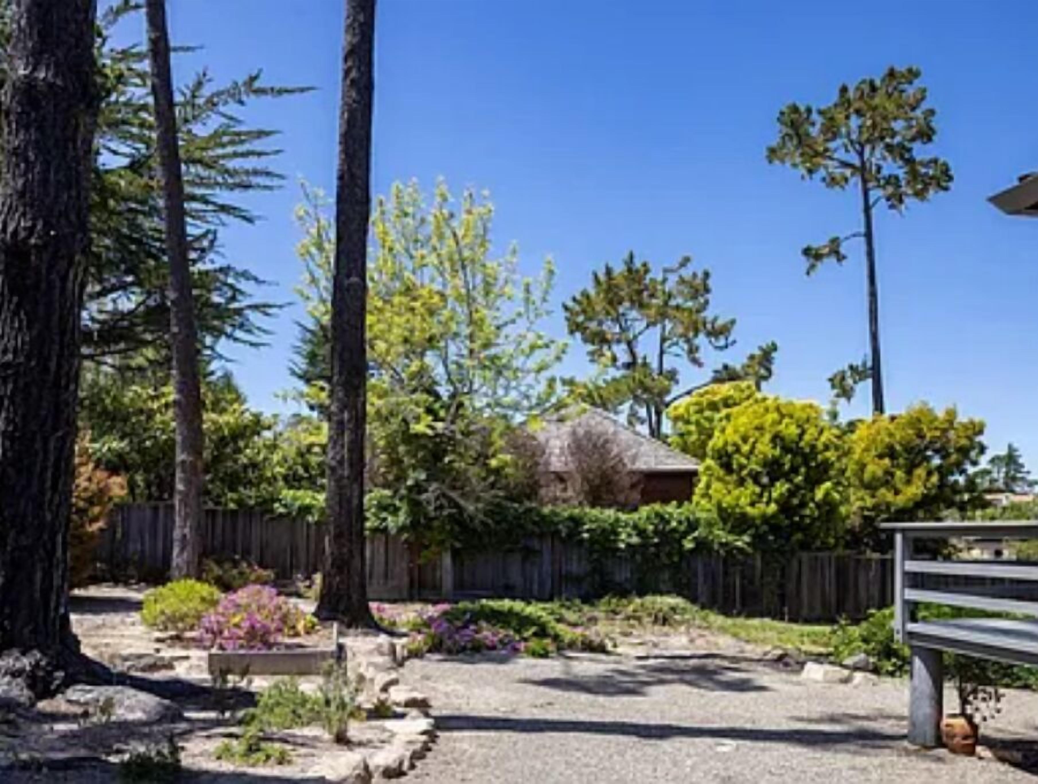 A garden with a wooden bench, a stone pathway, and a variety of plants.