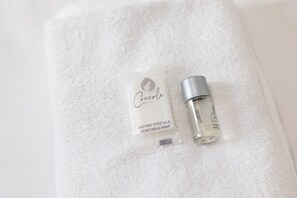 Douche, sèche-cheveux, bidet, serviettes fournies