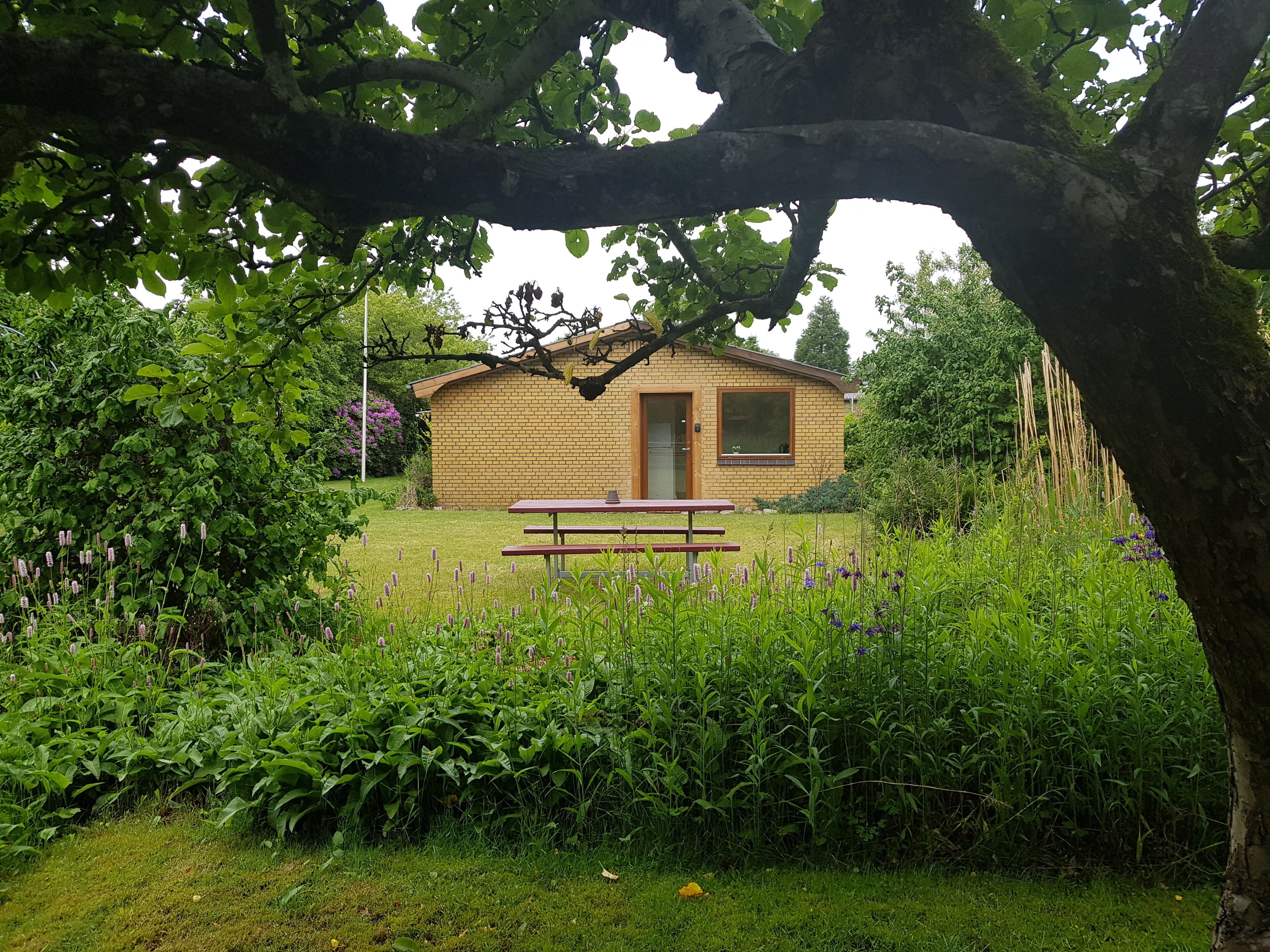 Leilighet – comfort | Dundyner, blendingsgardiner, lydisolert og strykejern/-brett