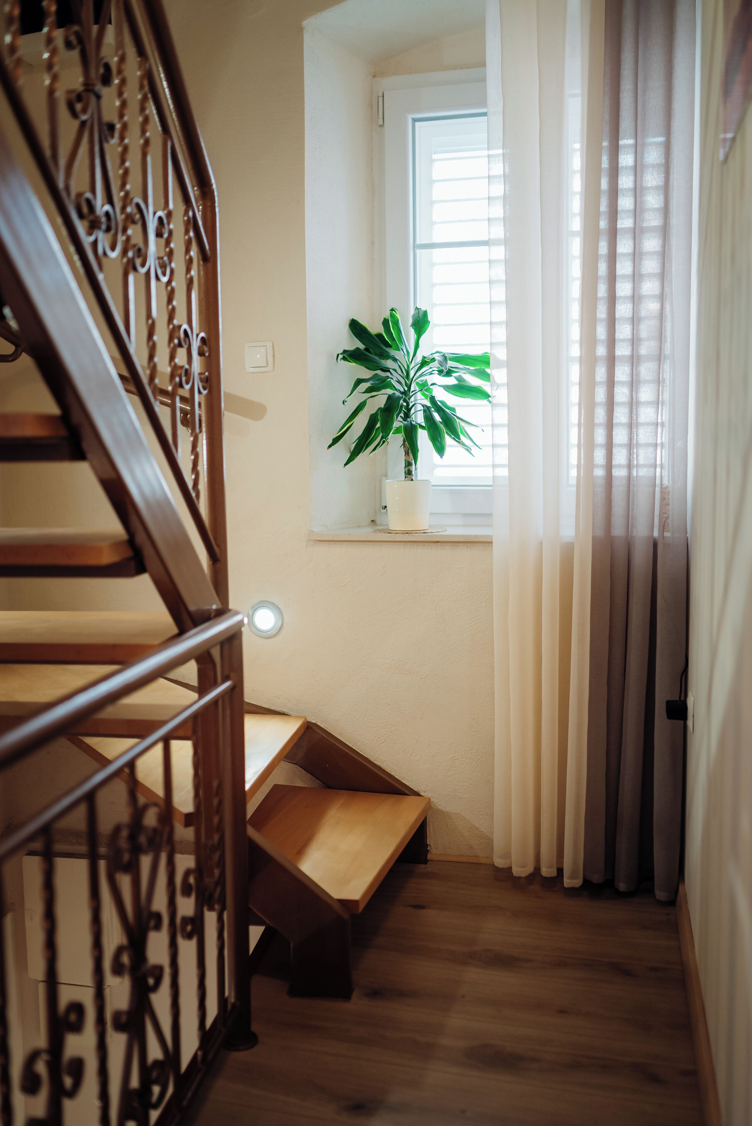 Eine Holztreppe mit Handlauf, ein Blumentopf an einem Fensterbrett und eine Tür mit Vorhängen.