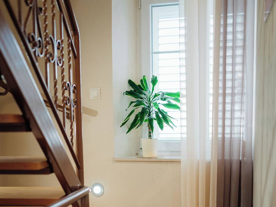 A wooden staircase with a handrail, a potted plant on a windowsill, and a door with curtains.