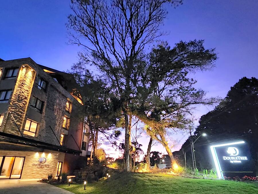Um hotel com fachada de pedra, uma grande árvore na frente e um letreiro de neon para 'DOUBLETREE by Hilton'.