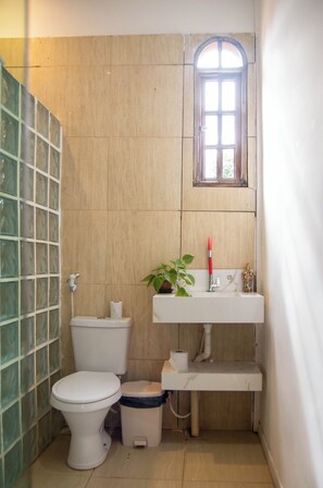 Shower, towels, toilet paper