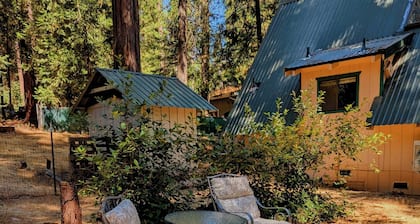 Cozy & Charming Sierra Nevada mts cabin 40 minutes from Kirkwood Ski resort.