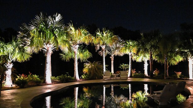 Ein Poolbereich bei Nacht mit Palmen und Liegestühlen.