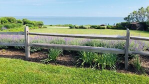 Une clôture en bois donnant sur une zone herbeuse et des plants de lavande.