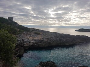 Miscellaneous - Aurea b&b within walking distance of Calanca beach (Marina di Camerota)