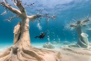 An underwater scene with a diver, a tree-like structure, and a statue. - 79 AN - Stay Nissi Chrysland Studio 215 (Ayia Napa)
