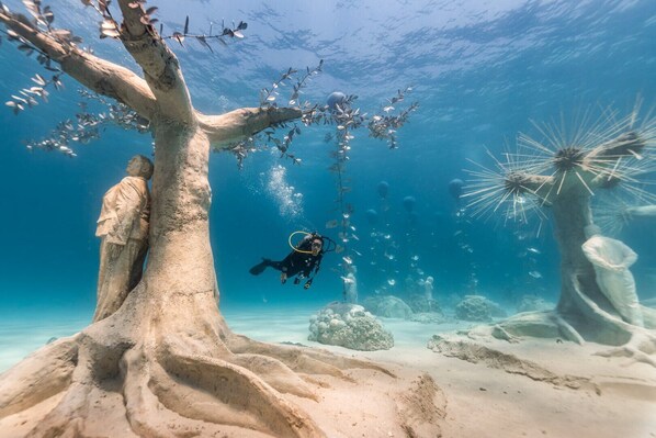 An underwater scene with a diver, a tree-like structure, and sea urchins. - 79 AN - Stay Nissi Chrysland Studio 110 (Ayia Napa)