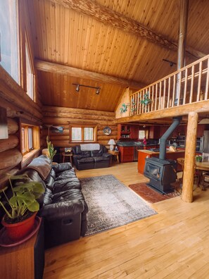 TV, fireplace, books, stereo