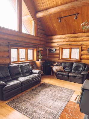 TV, fireplace, books, stereo