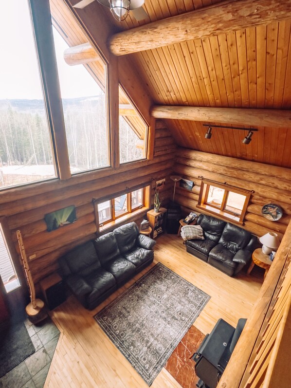 TV, fireplace, books, stereo