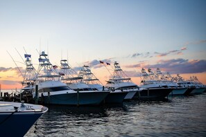 A marina with multiple yachts docked at the pier.