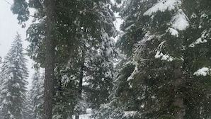 Unclassified image, 5 of 22, button - Rustic Retreat in Charming Leavenworth- Wifi and W/D! (Leavenworth)