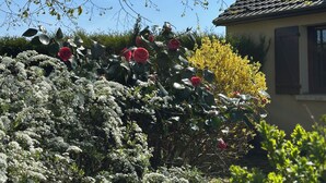 A garden with various plants and flowers, including red roses and white blossoms, in front of a house with a tiled roof. - House of Peace and Nature (Charencey)