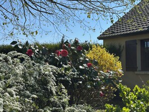 Details aan de buitenkant