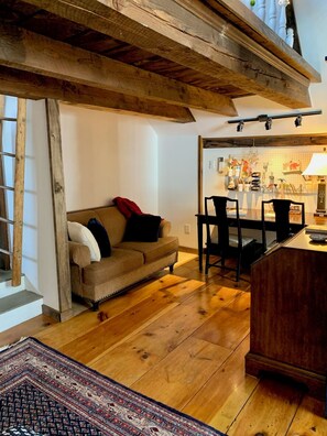 Smart TV, fireplace, books, music library