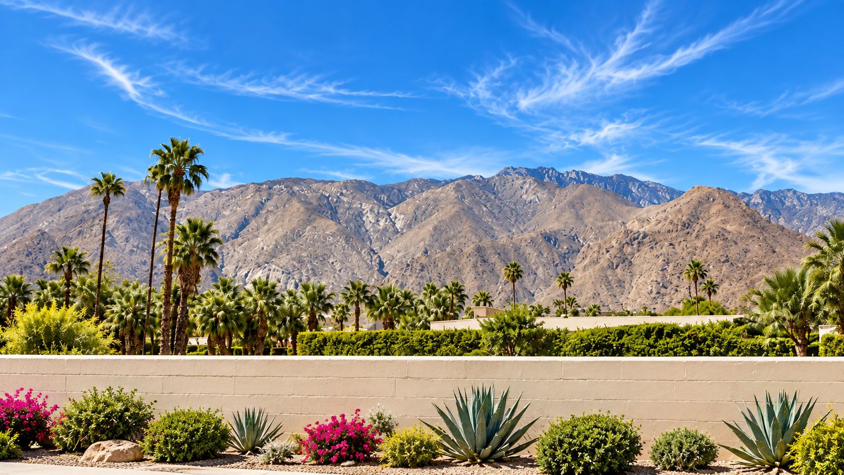 A landscaped area with palm trees, a variety of shrubs, and a view of mountains.