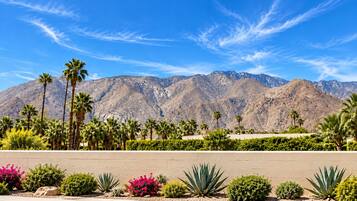 A landscaped area with palm trees, a variety of shrubs, and a view of mountains.