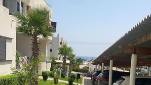 A paved walkway lined with parked cars, a palm tree, and a building with balconies.