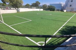 A soccer field with white boundary lines and a goalpost.