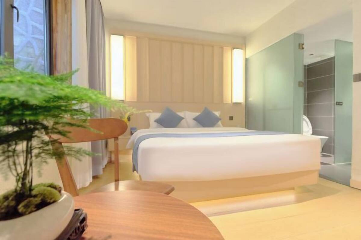 A hotel room with a bed, a bedside table, a potted plant, and a view of the outside.