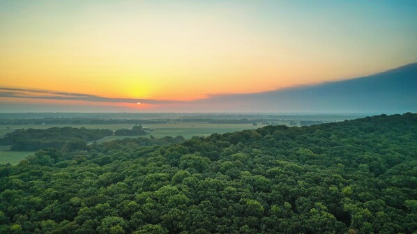 A forested landscape with a sunset in the background.