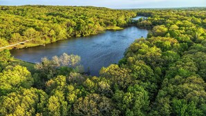 Un río serpentea a través de una zona boscosa densa bajo un cielo despejado.