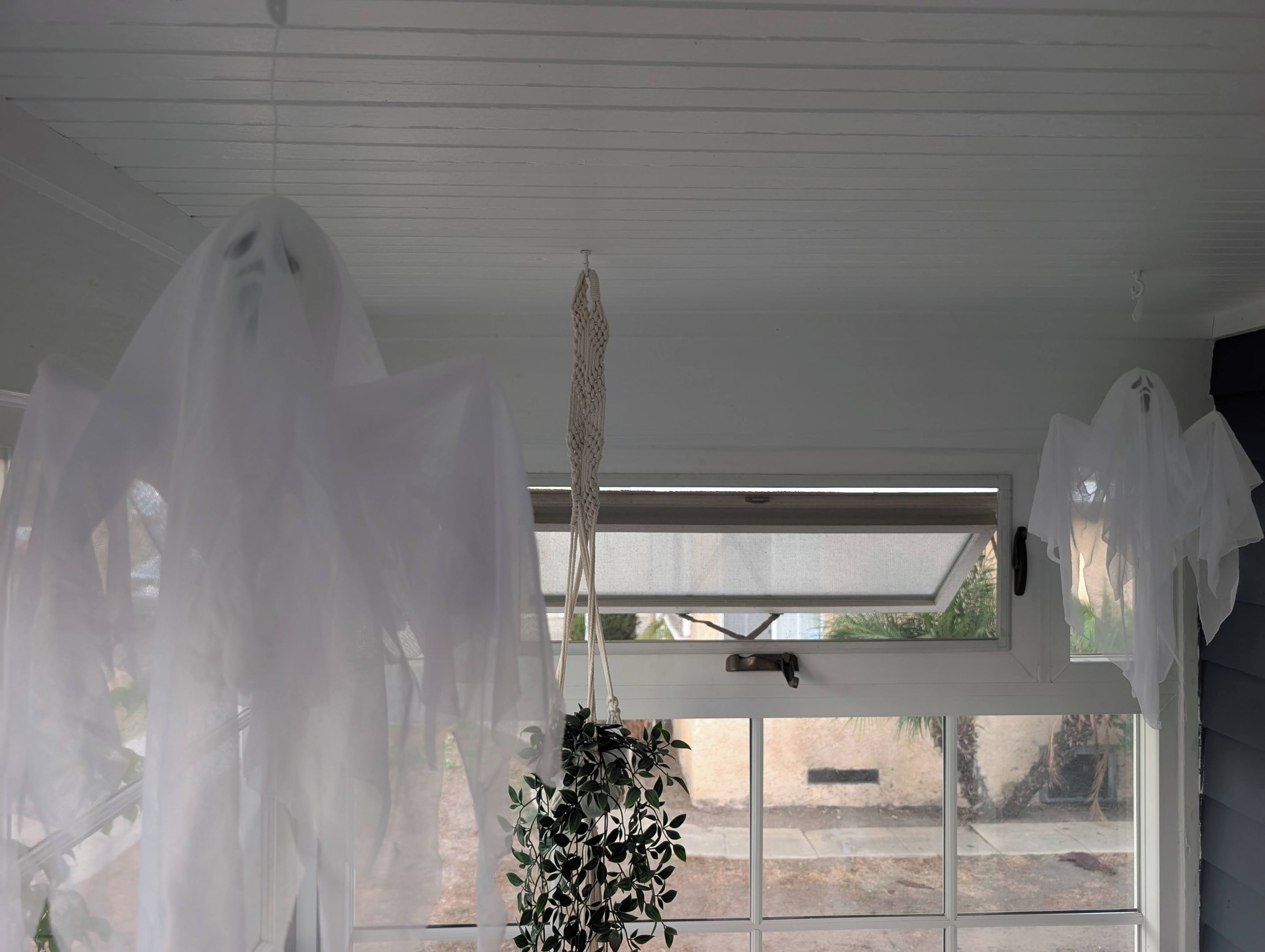 A room with a large window, a hanging macrame piece, and a plant.