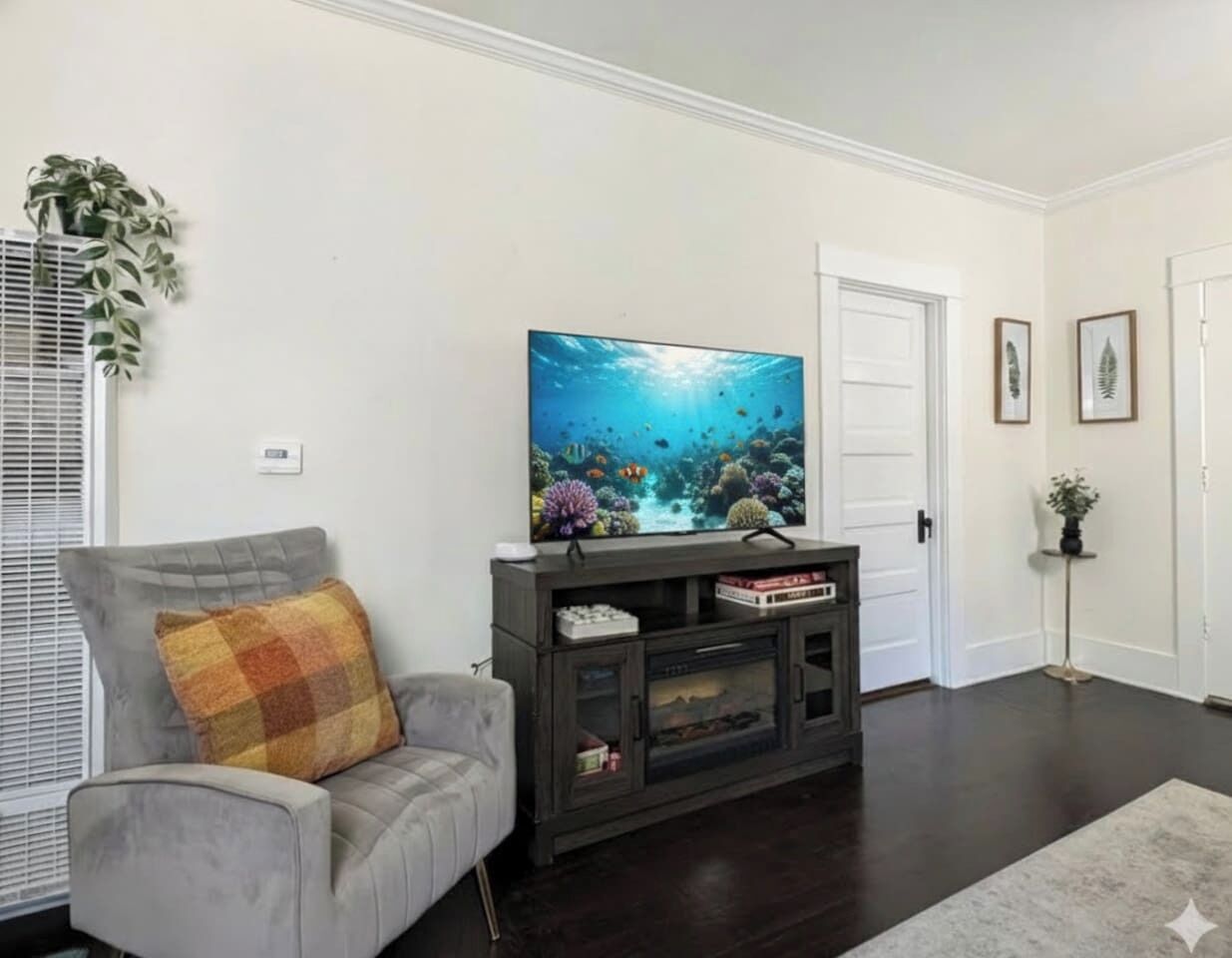 Smart TV, fireplace, books