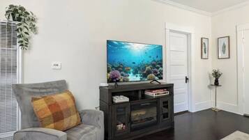 Smart TV, fireplace, books