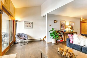Télévision, cheminée, livres