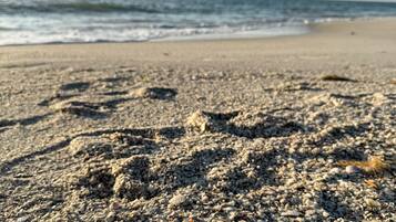 Una playa cerca