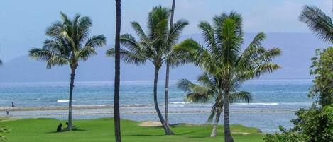 On the beach, sun loungers, beach towels
