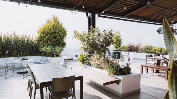 An outdoor patio area with a dining table and chairs, surrounded by various plants and a seating bench. - 3 bd in zona 2 (Ciudad de Guatemala)
