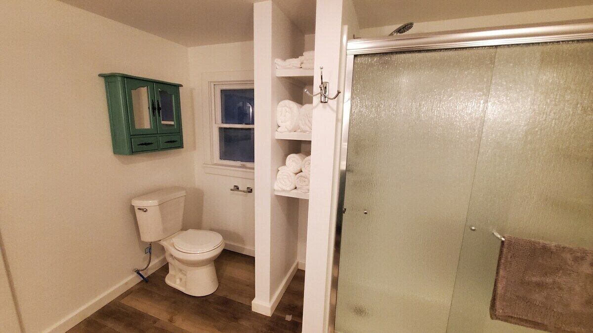 Et badeværelse med toilet, et grønt skab, en bruser med glasdør og et håndklædestativ.