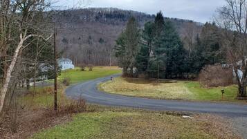 Eine ländliche Straße schlängelt sich durch eine Landschaft mit einem Haus und Bäumen.