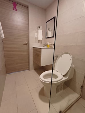 Hair dryer, towels, soap, toilet paper
