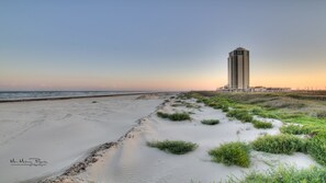 On the beach - Dog-Friendly Retreat at Palisade Palms (Galveston)