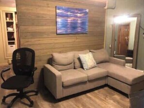 TV, fireplace - Cozy 1BR Private Unit w/ Patio & Parking (Brookline)