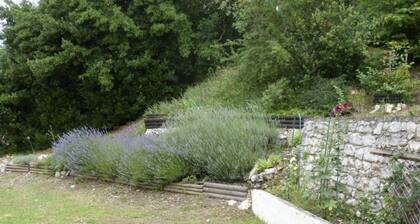 D'Est en Ouest - MONTCUQ EN QUERCY BLANC