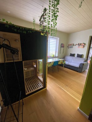 TV, DVD player, books - Gîte LeCLARA in the mountains, billiards, jacuzzi, sauna... pets allowed (Saulxures)