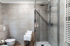 Shower, hair dryer, bidet, towels