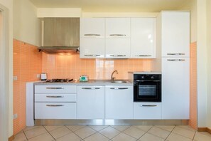 Fridge, oven, stovetop, dishwasher