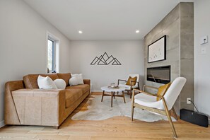 智能电视、壁炉、DVD 播放器