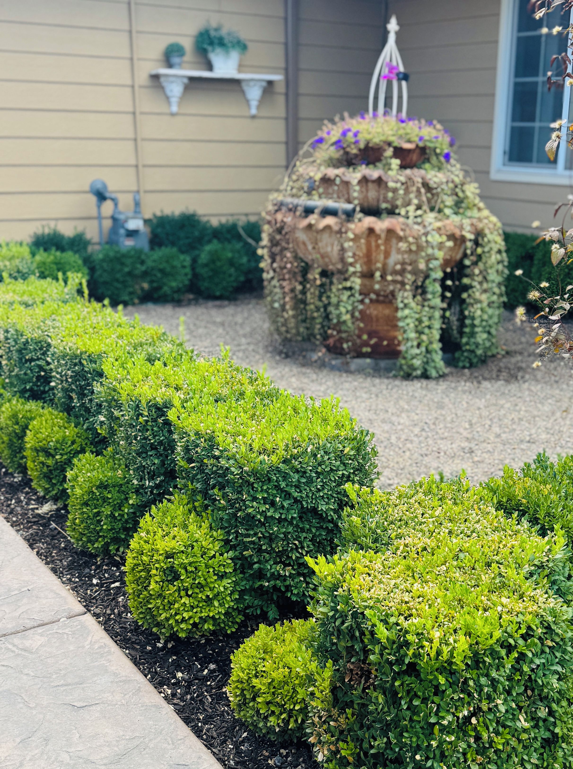 Ein angelegter Garten mit ordentlich geschnittenen Hecken und einem dekorativen Blumenbeet.