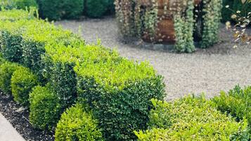 Ein angelegter Garten mit ordentlich geschnittenen Hecken und einem dekorativen Blumenbeet.