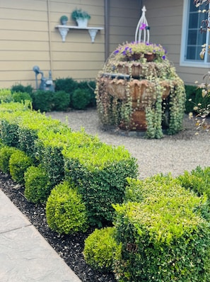Un jardín ajardinado con setos bien cuidados y una jardinera decorativa con flores.