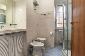 Shower, hair dryer, bidet, towels