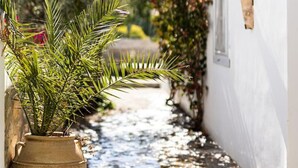 A narrow pathway leading to a white building with a potted plant on the left. - Villa Alethea Retreat (Idra)
